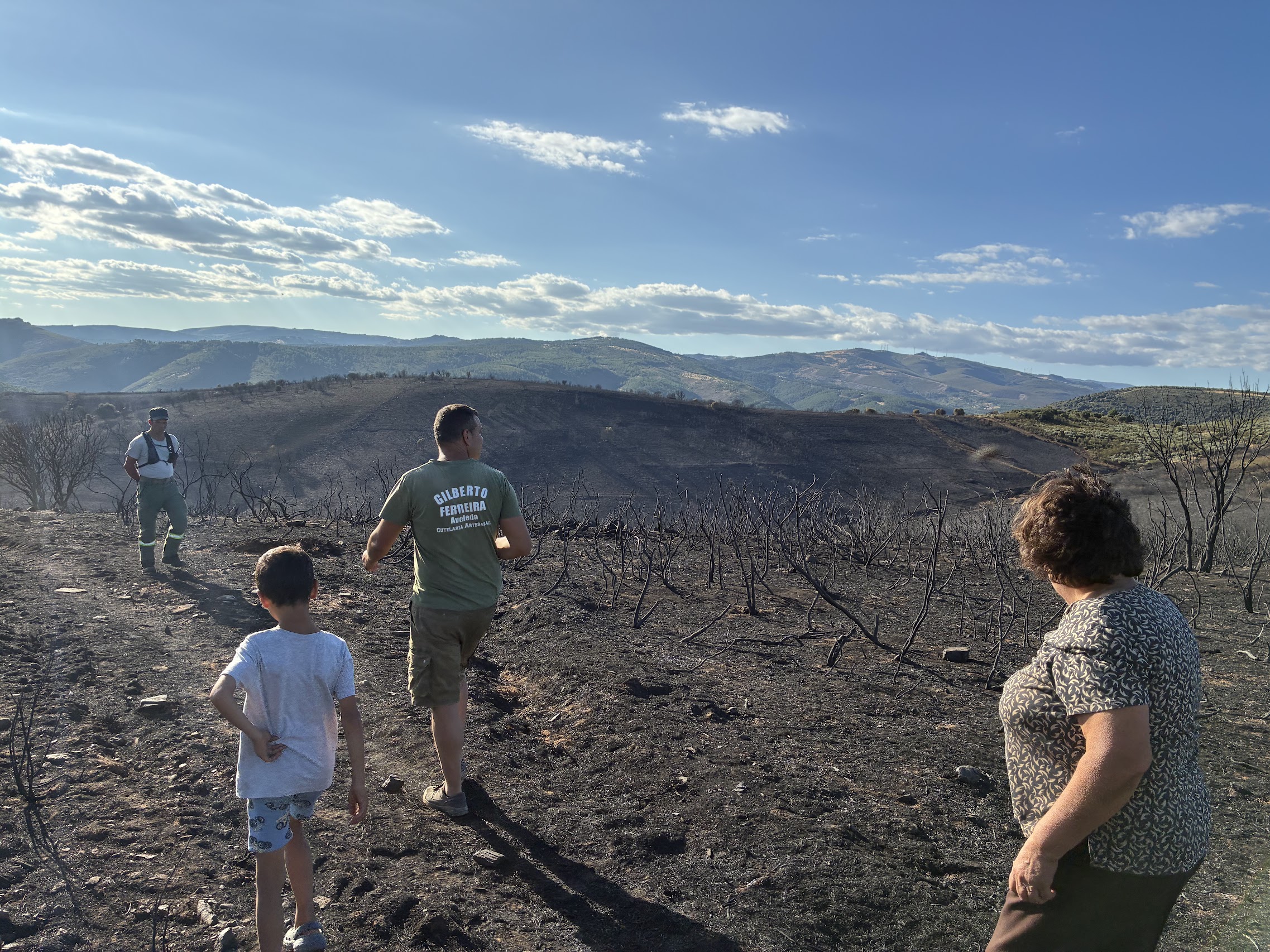 arderam cerca de 200 hectares