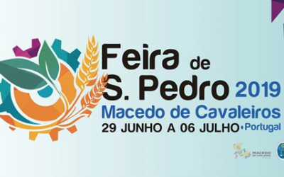 feira sao pedro