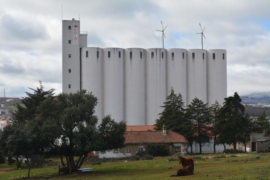 museu lingua