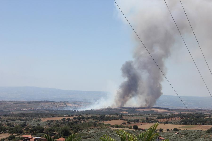 Incêndio começou domingo, por volta das 13h00