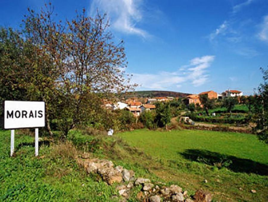 Direitos Reservados